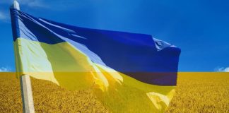 В Украине с 1 июня вводятся сезонные ограничения для грузовиков