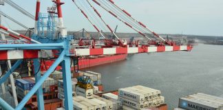 DP World закрыл сделку по покупке украинского контейнерного терминала ТИС в порту Южный