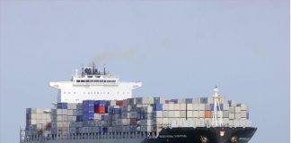 В Беларуси возобновили выдачу национального удостоверения личности моряка