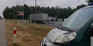 За неуказание госномеров транспортных средств в польском дозволе штраф 12 тыс. злотых