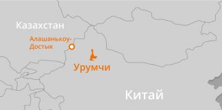 Казахстан с 1 марта на месяц приостановил движение грузовиков на погранпереходе Алашанькоу-Достык
