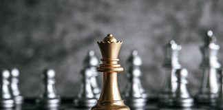 Изучаем рынок правильно: разработка маркетинговой стратегии для логистических компаний