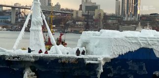 Во Владивосток прибыло судно со «свежеморожеными» автомобилями из Японии