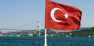 Контейнерные грузоперевозки из Турции и Китая в Москву, Санкт-Петербург и Беларусь