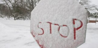 Что случилось? Закрыт въезд из России в Грузию через погранпереход Верхний Ларс