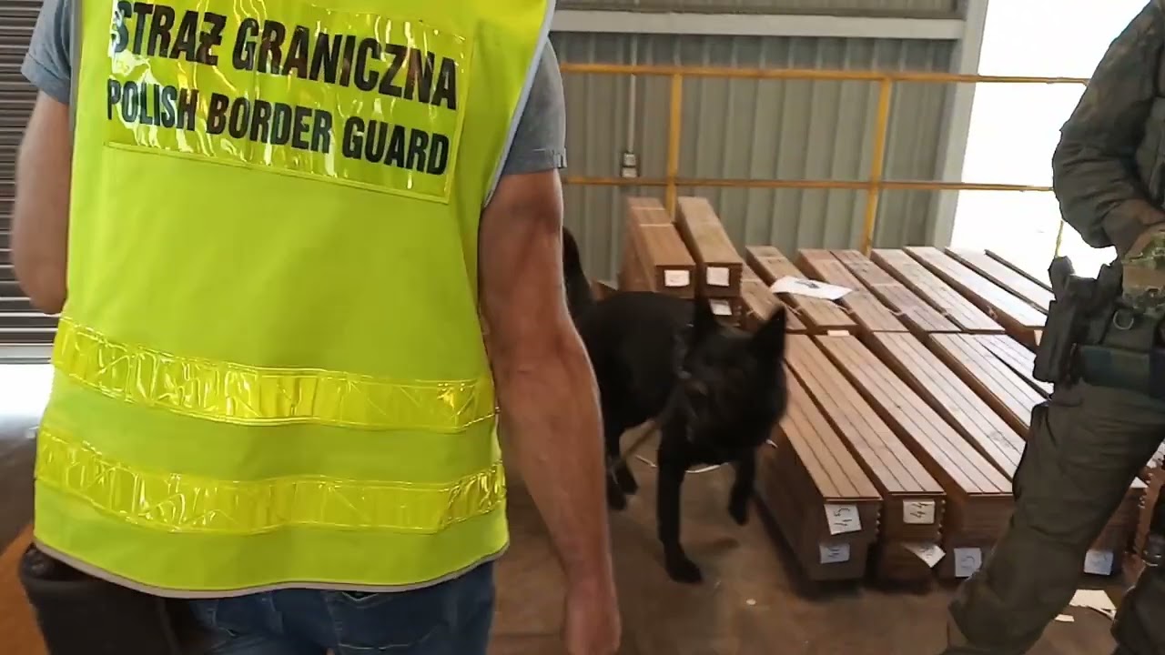 В порту Гдыня пресечена контрабанда 440 кг кокаина на судне из Чили