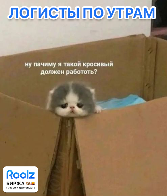 Пятничные мемы от биржи грузоперевозок Roolz 9