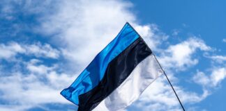 Доставка посылок и корреспонденции из Беларуси в Эстонию / из Эстонии в Беларусь